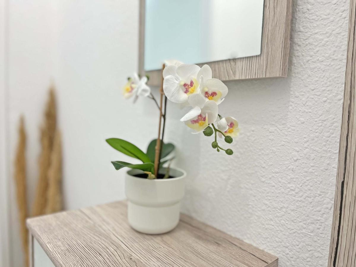 Marmontesol 224 Apartment ตอร์ร็อกซ์ ภายนอก รูปภาพ